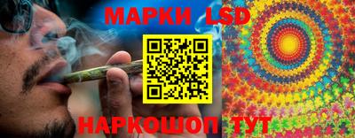 сатива Будённовск