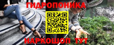 сатива Будённовск
