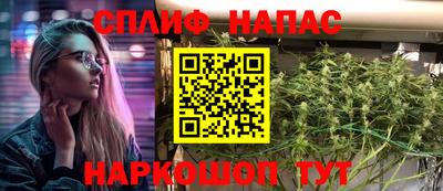 сатива Будённовск