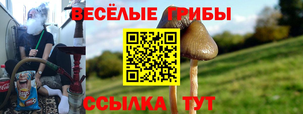 Ульяновск  Галлюциногенные грибы Psilocybine cubensis  Вход с VPN  Галлюциногенные грибы прущие грибы 