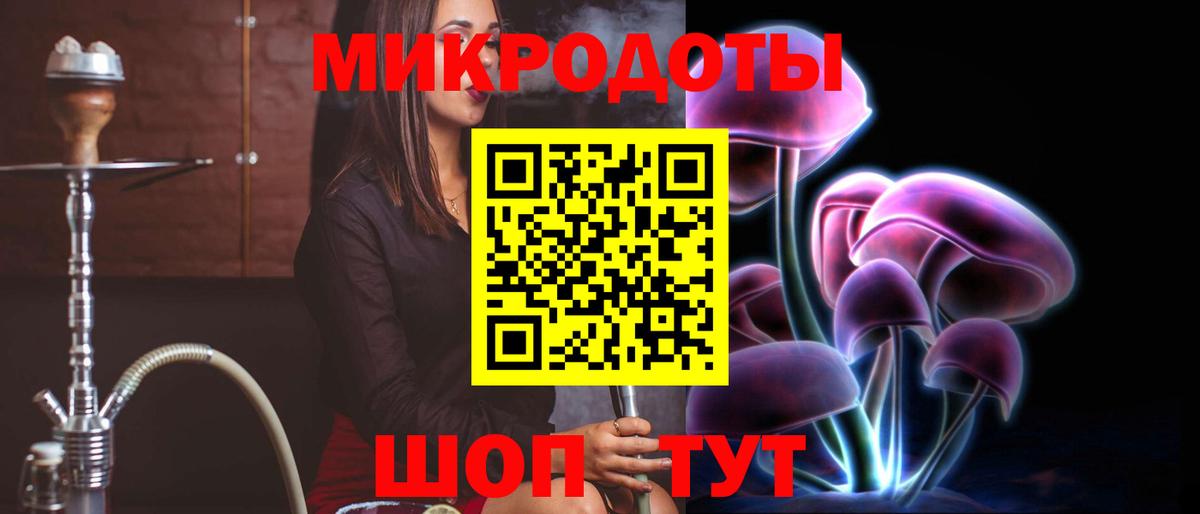 Псилоцибиновые грибы Psilocybine cubensis Ульяновск